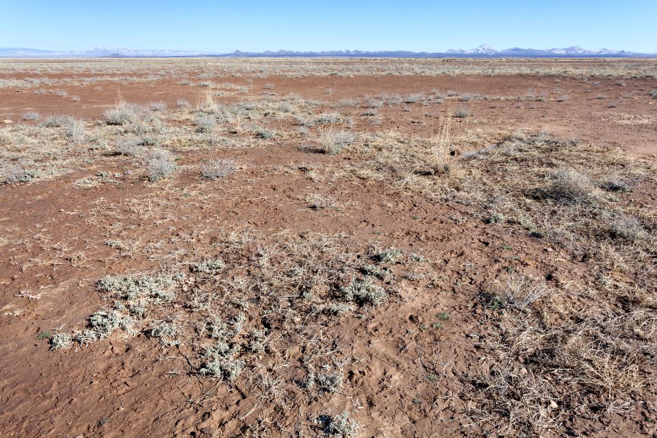 Lordsburg Playa