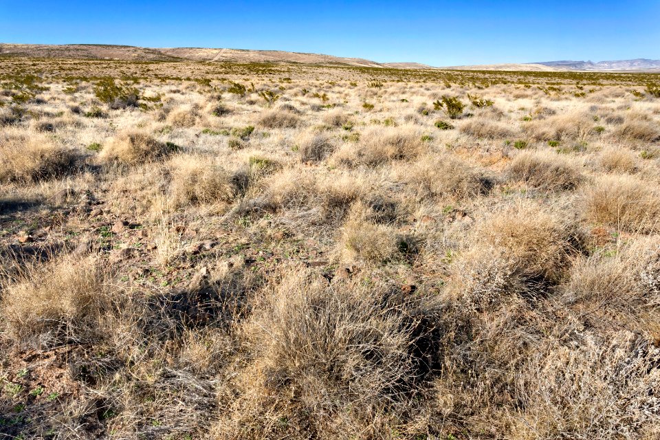 Southwest of Massacre Peak