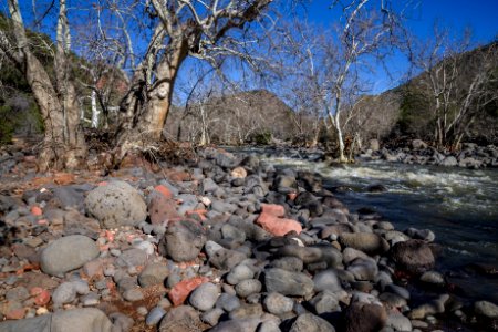 Woods Canyon Trail No. 93