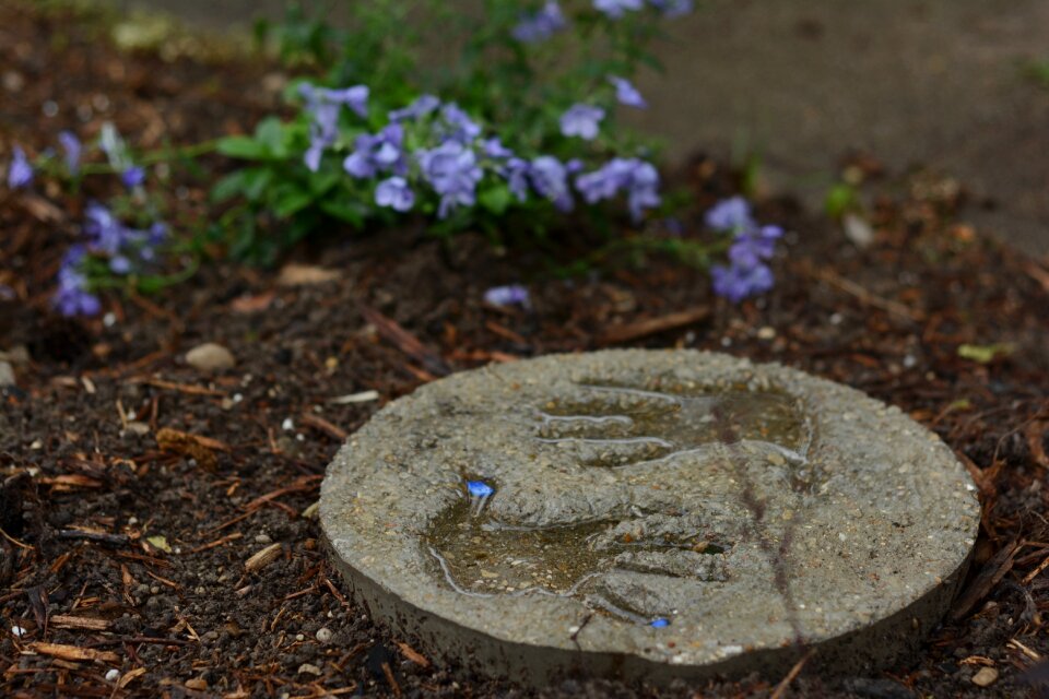 Hand print craft flowers