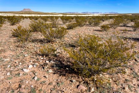 Apache Flats
