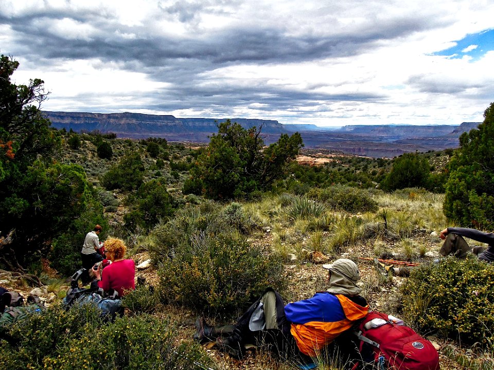 grandcanyon2015-DSCN1150-1