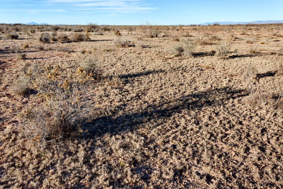 Southwest of Lone Butte