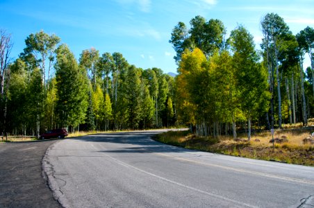 Snowbowl Road: Aspen Corner