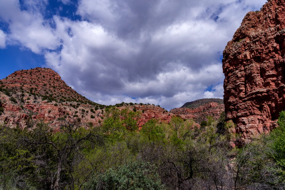 Parsons Trail No. 144