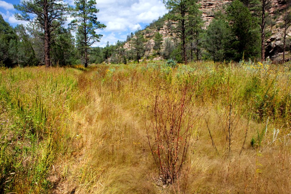 Continental Divide Trail