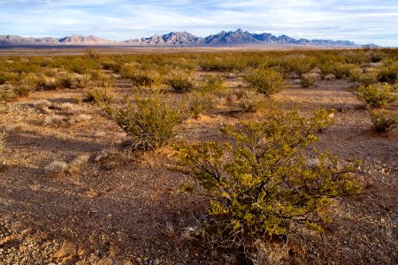 East bajada of the Doña Ana Mountains