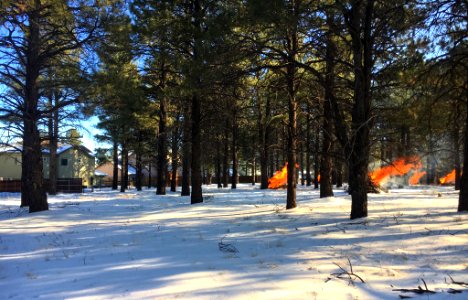 Pile burning near Ponderosa Trails Subdivision