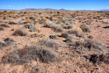 Between Trujillo Canyon and Wicks Gulch