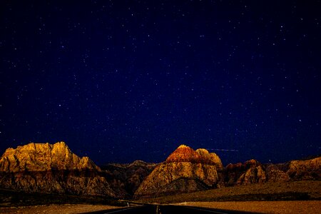 Desert life beauty photo