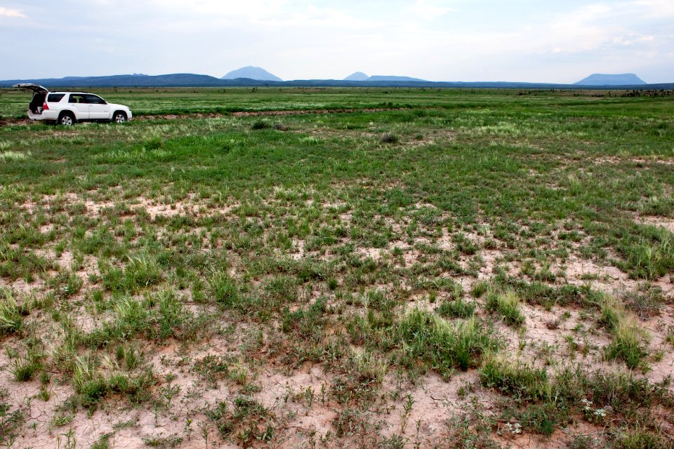 Otero Mesa