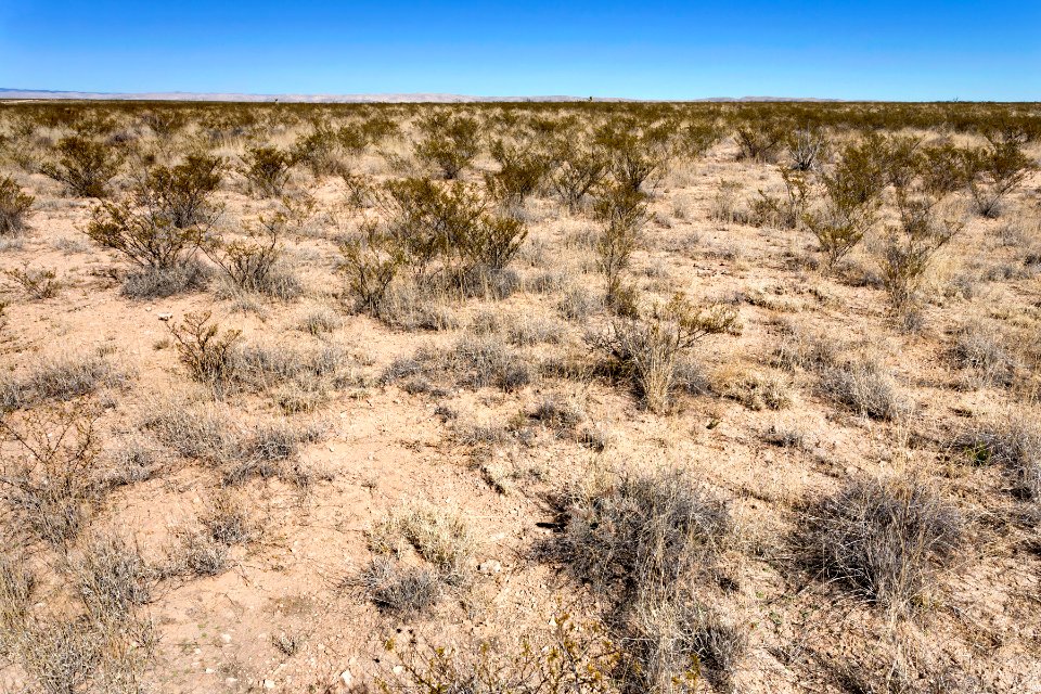 Otero Mesa