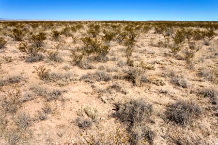 Otero Mesa