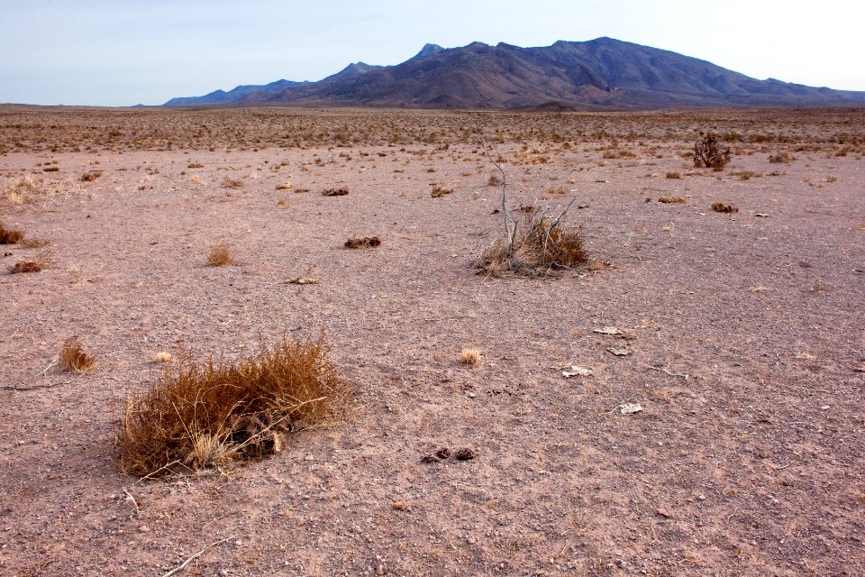 Northwest of Goat Ridge