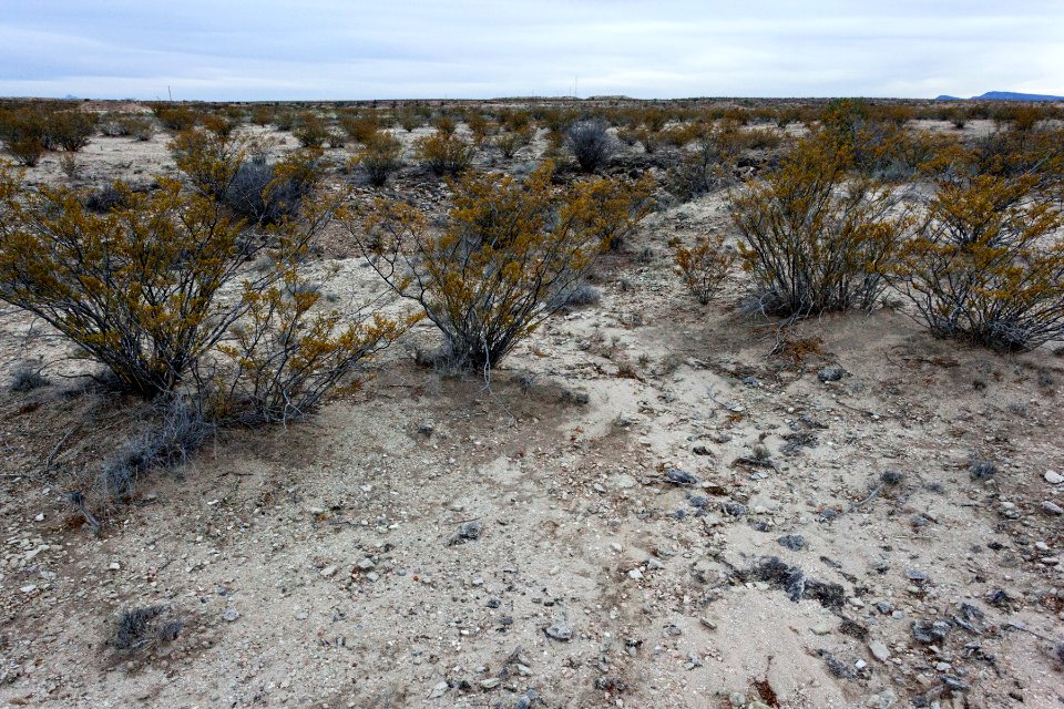 East side of Rincon Arroyo