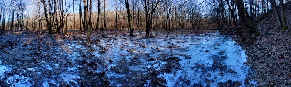 Floodplain of Griffy Creek