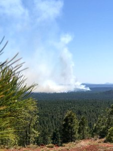 Snake Ridge Fire (May 27, 2017)