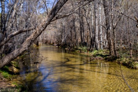 Purple Mountain at Fossil Creek photo