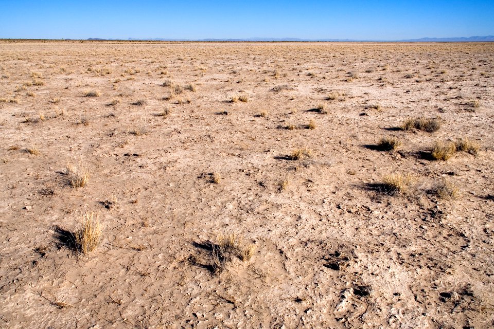 West side of Lordsburg Playa