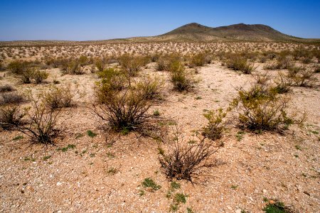 South bajada of the Tres Hermanas