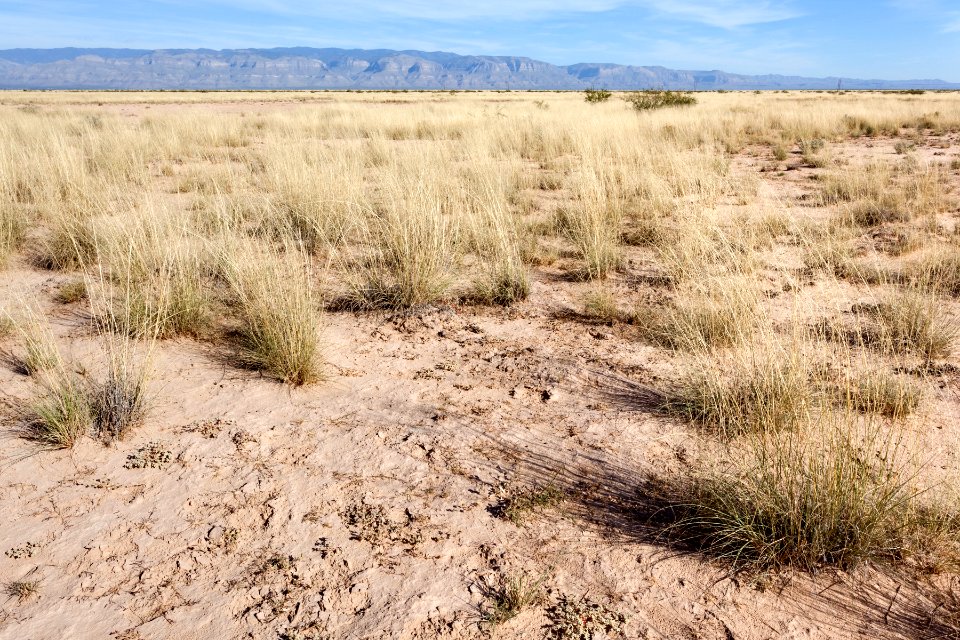 North of Twin Buttes