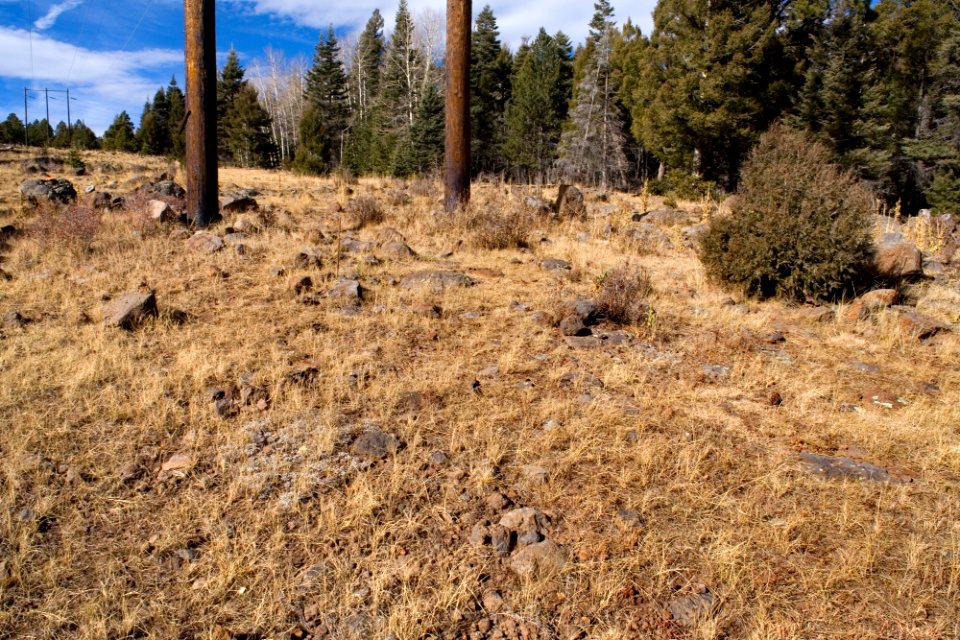 Between Angel Fire and Springer