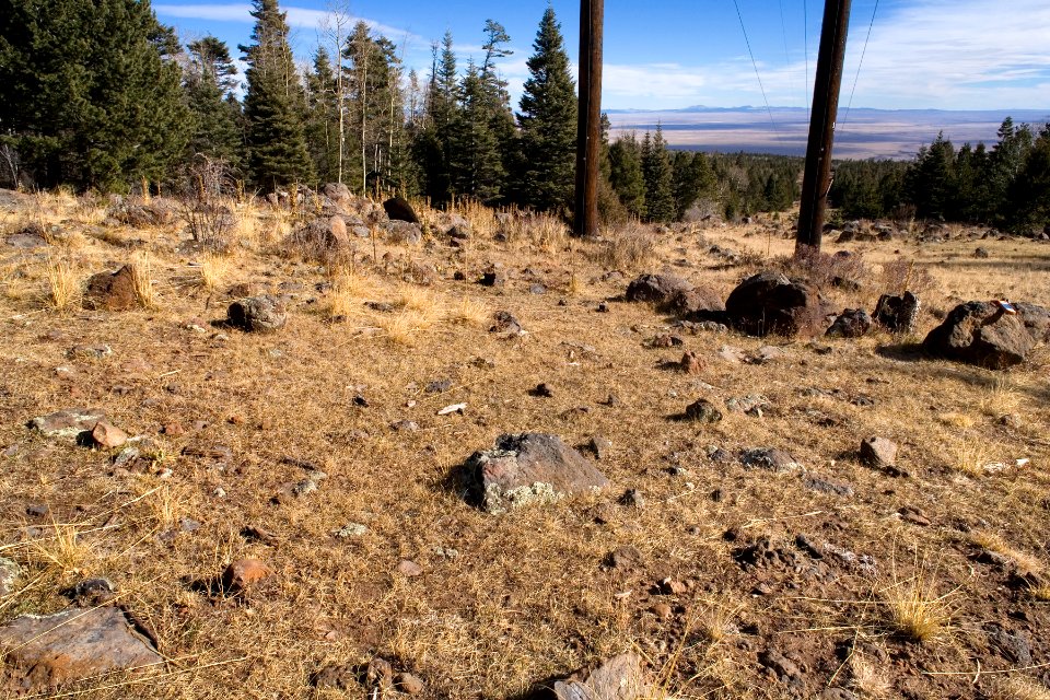 Between Angel Fire and Springer