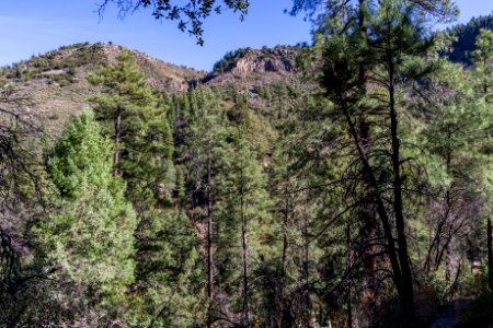A.B. Young Trail