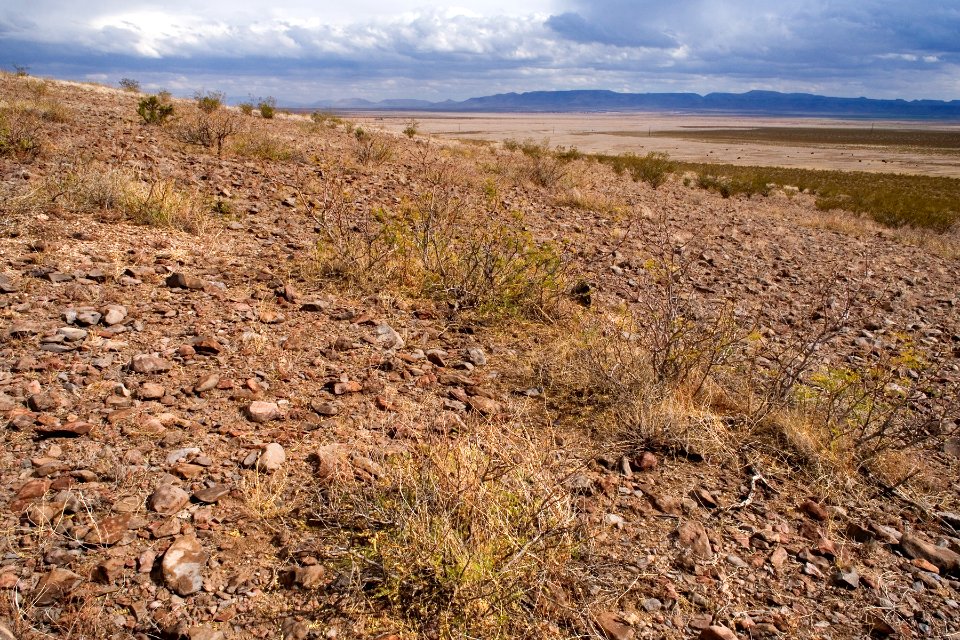 Northeastern edge of the Good Sight Mountains