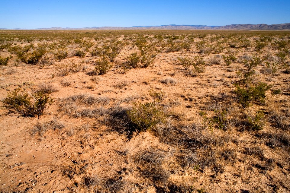 Northern Otero Mesa