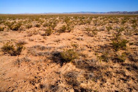 Northern Otero Mesa
