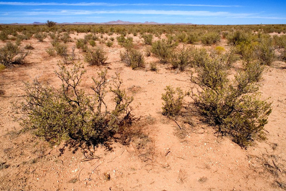 East-northeast of Animas