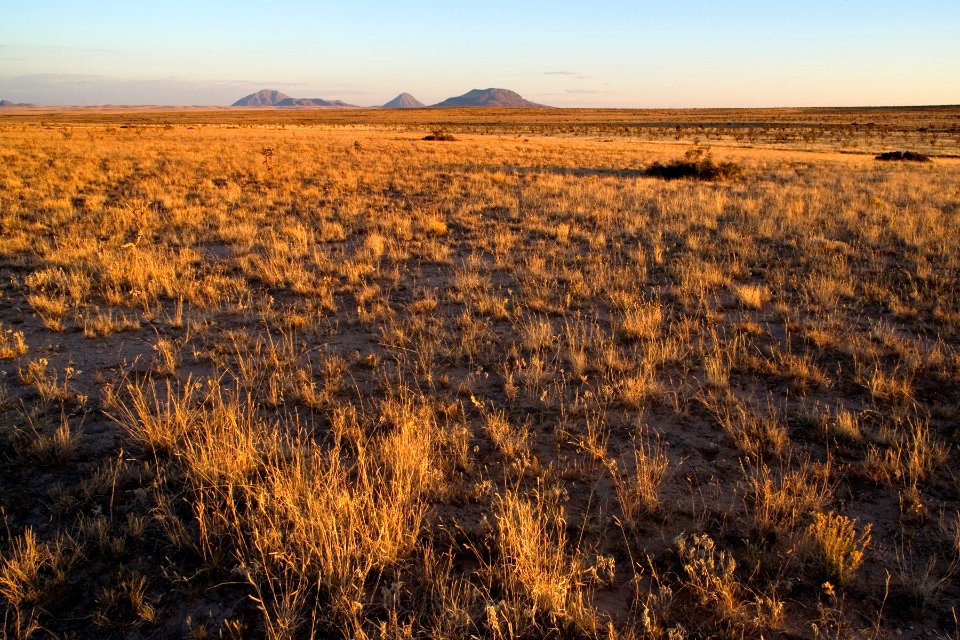 Southwestern Otero Mesa