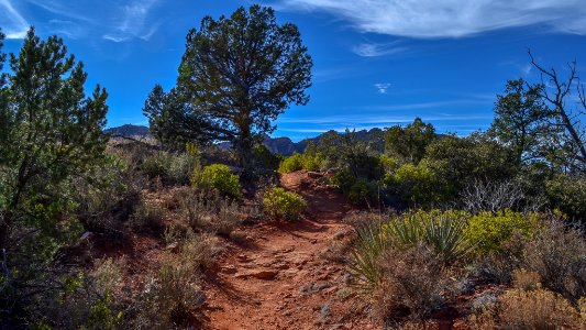 Llama Trail photo