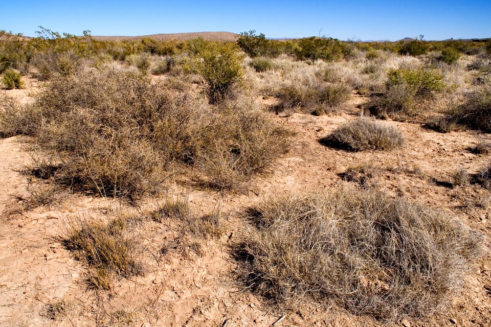 Between Lordsburg and Lordsburg Playa
