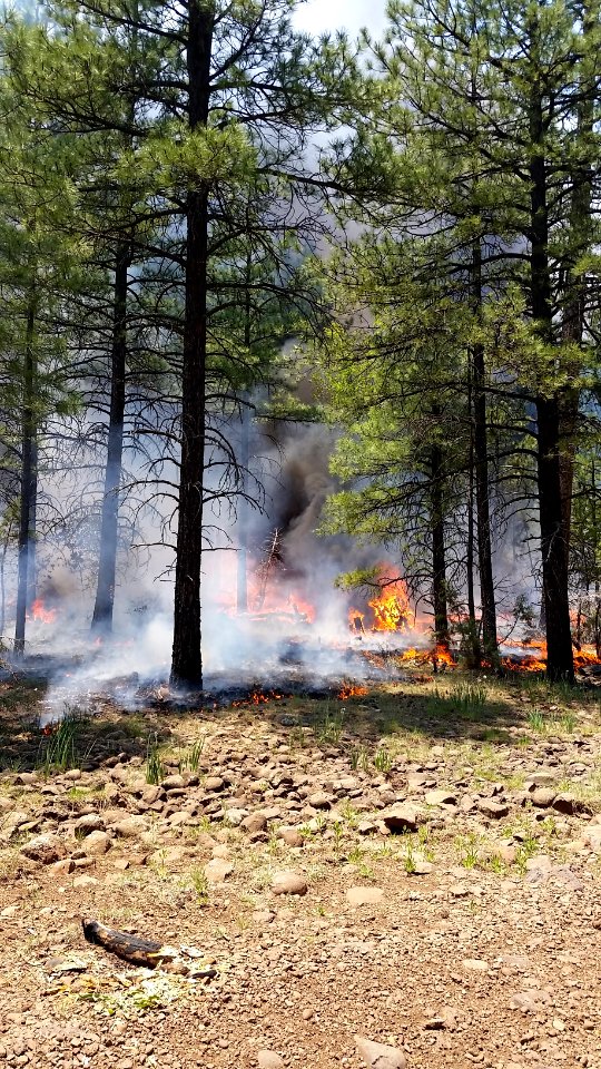 Snake Ridge Fire (May 28, 2017)