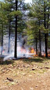 Snake Ridge Fire (May 28, 2017)