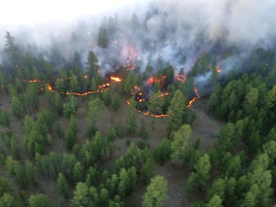 Jack Fire (June 9, 2016)