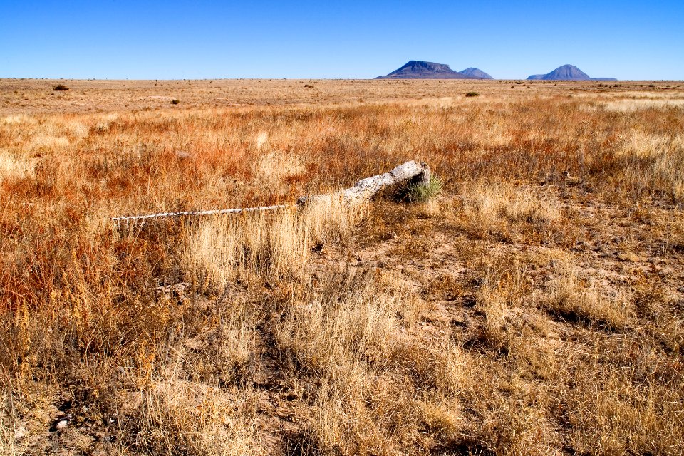Southwestern Otero Mesa