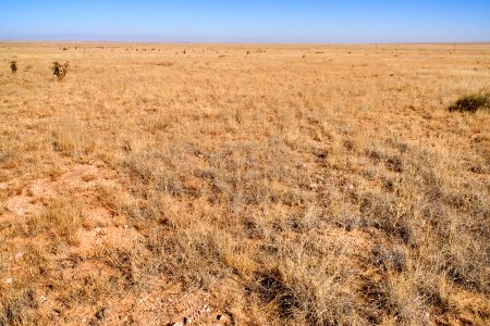 Southwestern Otero Mesa