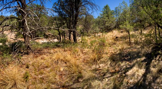 Rock Waterhole Canyon