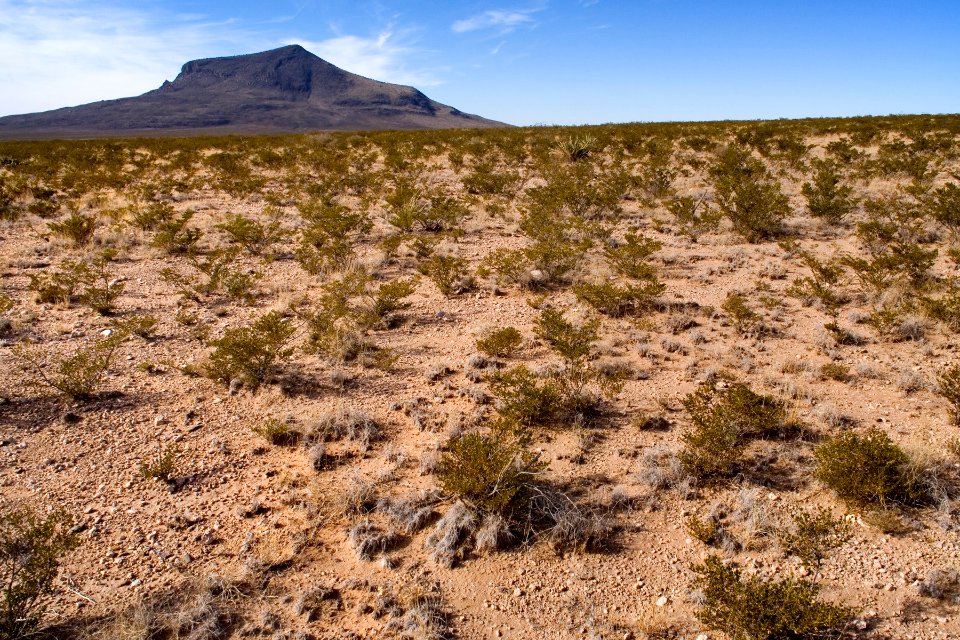 Southern Otero Mesa