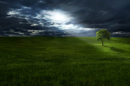 Grass landscape outdoors