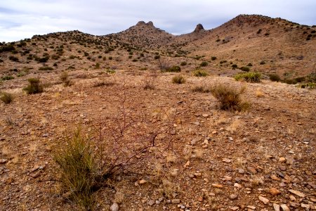 Pyramid Mountains, New Well Canyon photo