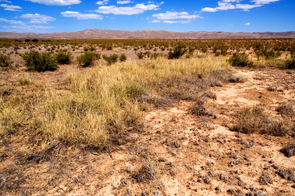 Northern Otero Mesa