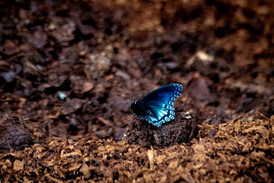 20190626-NRCS-LSC-0985