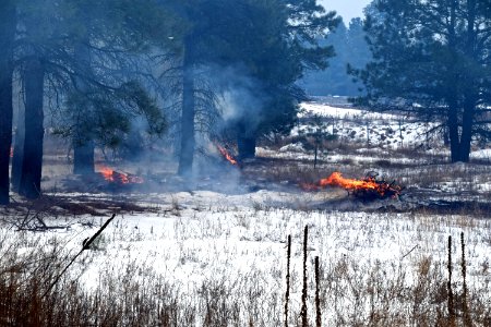 Pile Burn