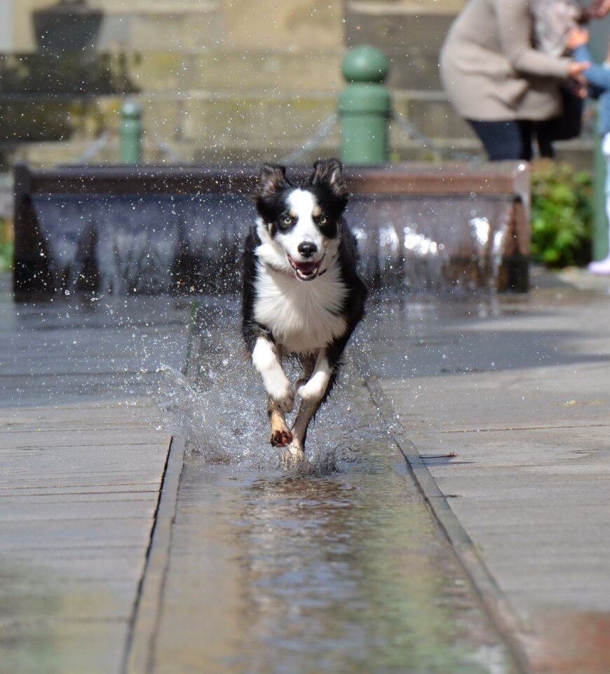 Historic center water fountain