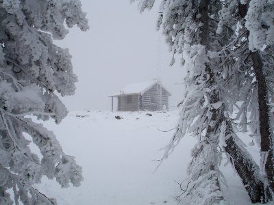 Mount Emerine Lookout ground cabin photo