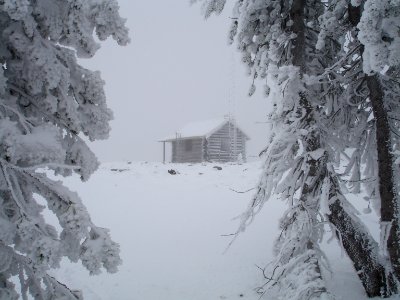 Mount Emerine Lookout ground cabin